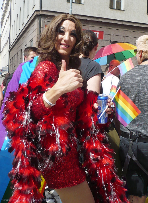 Pochodu se kromě homosexuálů učastnili také transvestité. Zatímco na jiných shromážděních účastníkům fotografování spíše vadí, na LGBT karnevalech je situace neprosto opačná. Každý vám rád před fotoaparátem zapózuje, aby fotografie byla co nejvydařenější.