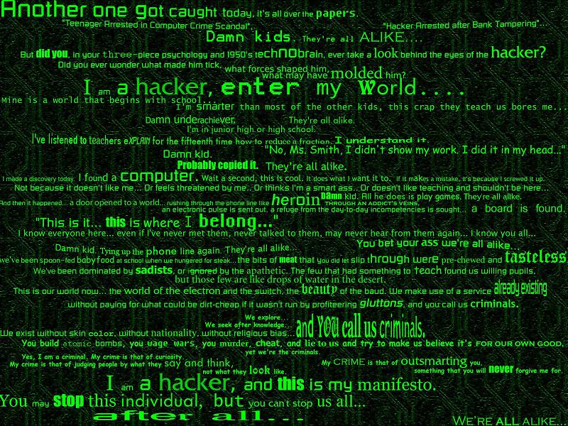 I am the hacker enter my world